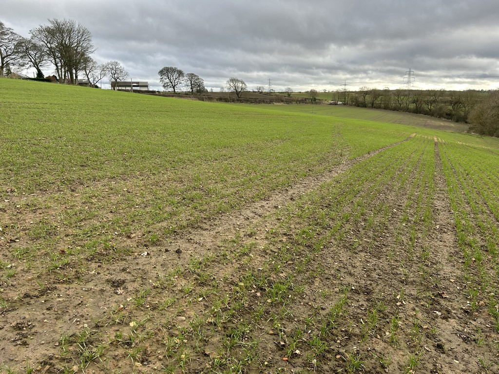 Farm land for sale in Town Kelloe, Durham  - Property Image 5