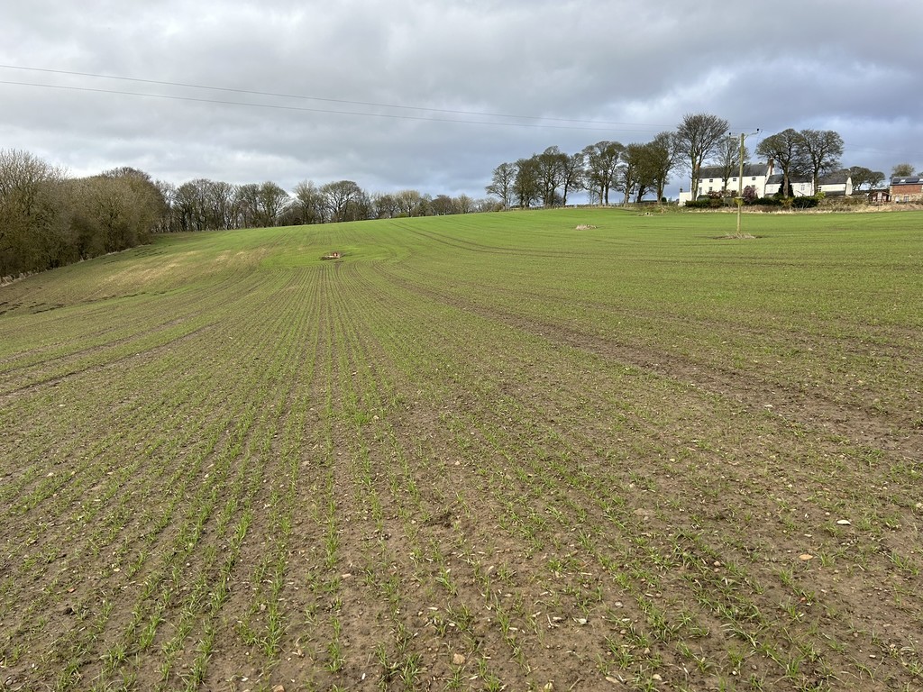 Farm land for sale in Town Kelloe, Durham  - Property Image 6