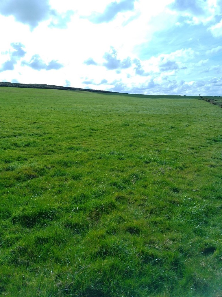 Farm land for sale, Chopwell 1