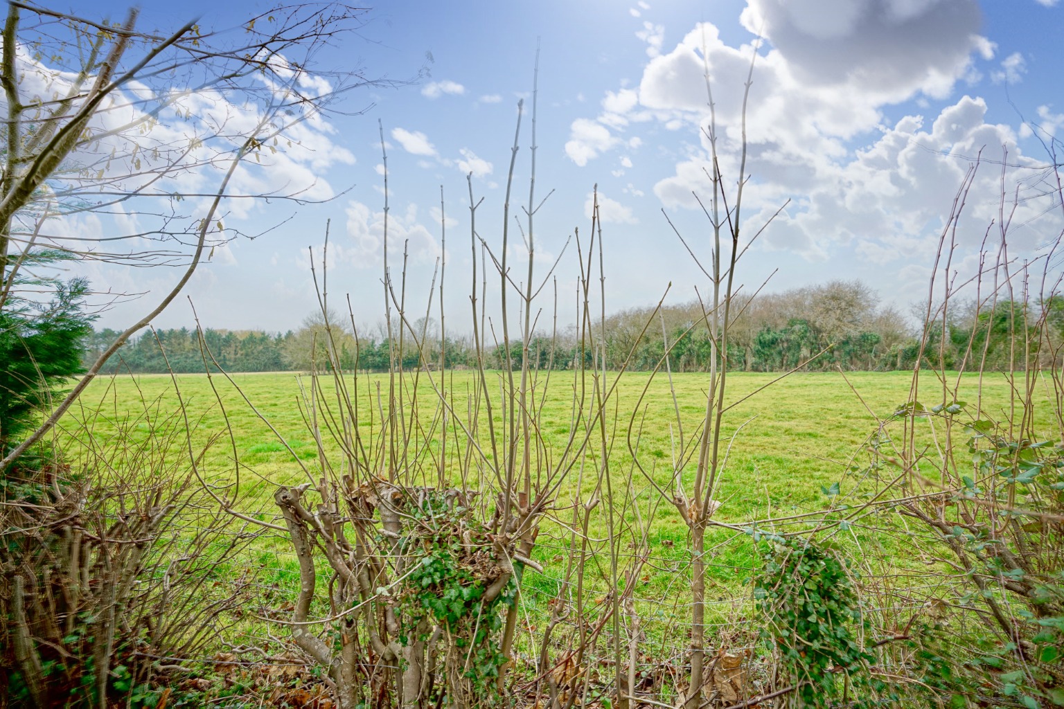 4 bed detached house for sale in High Street, Huntingdon 11