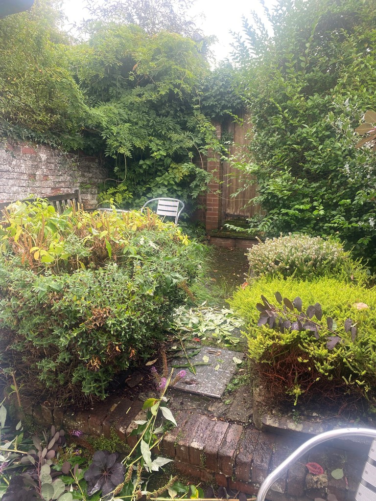 4 bed terraced house for sale in Oxford Road, Exeter, EX4  - Property Image 23