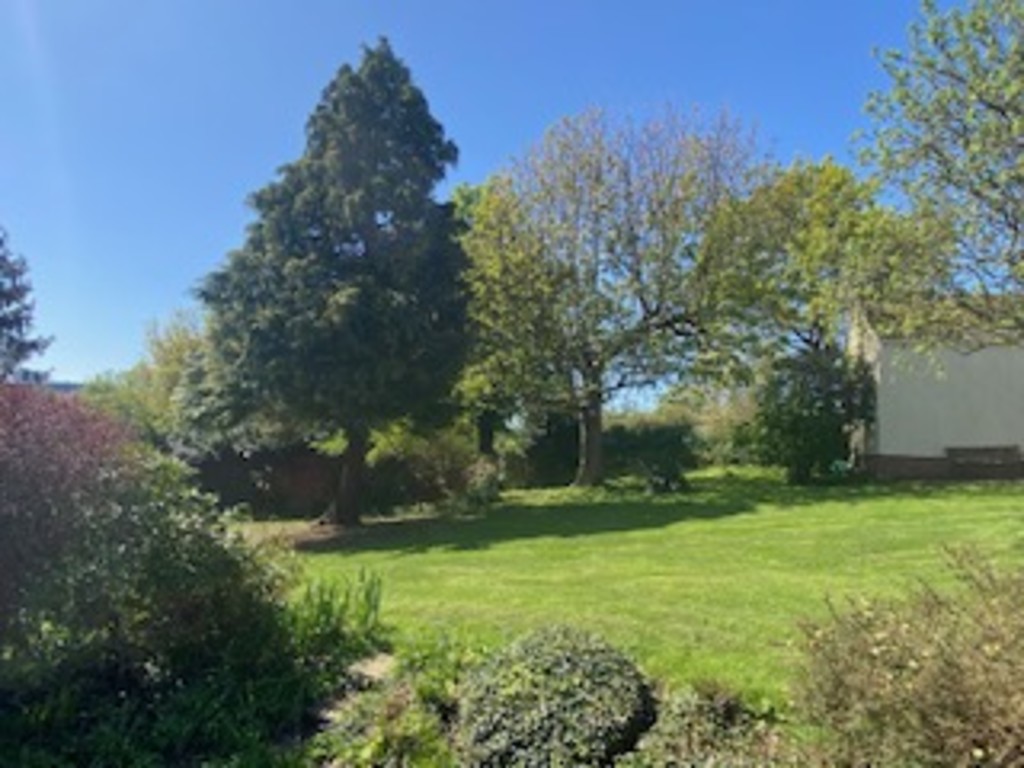 4 bed detached bungalow to rent in Moorlake, CREDITON 20