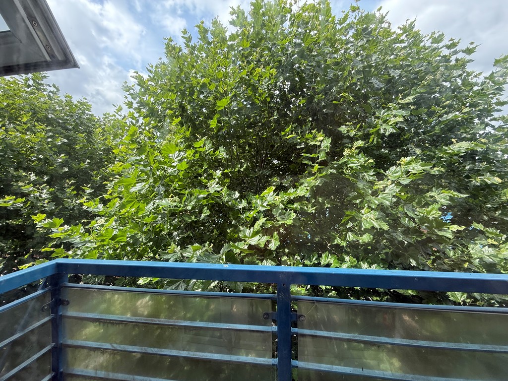 3 bed apartment to rent in Powhay Mills, Tudor Street 6