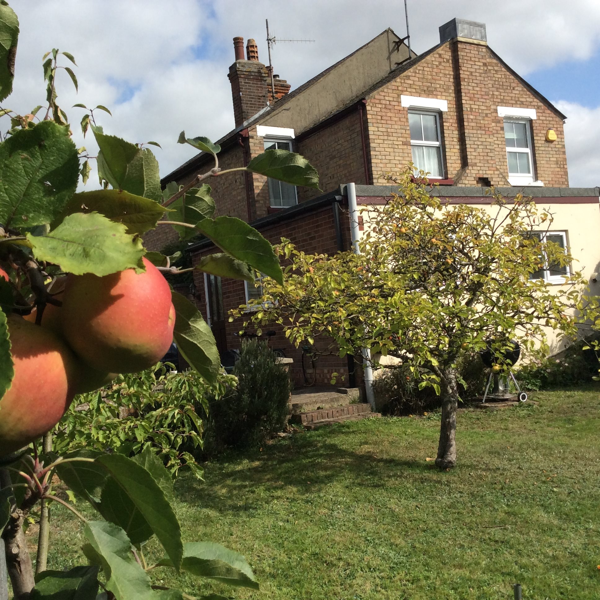 4 bed house to rent in Elmstead Road  - Property Image 1