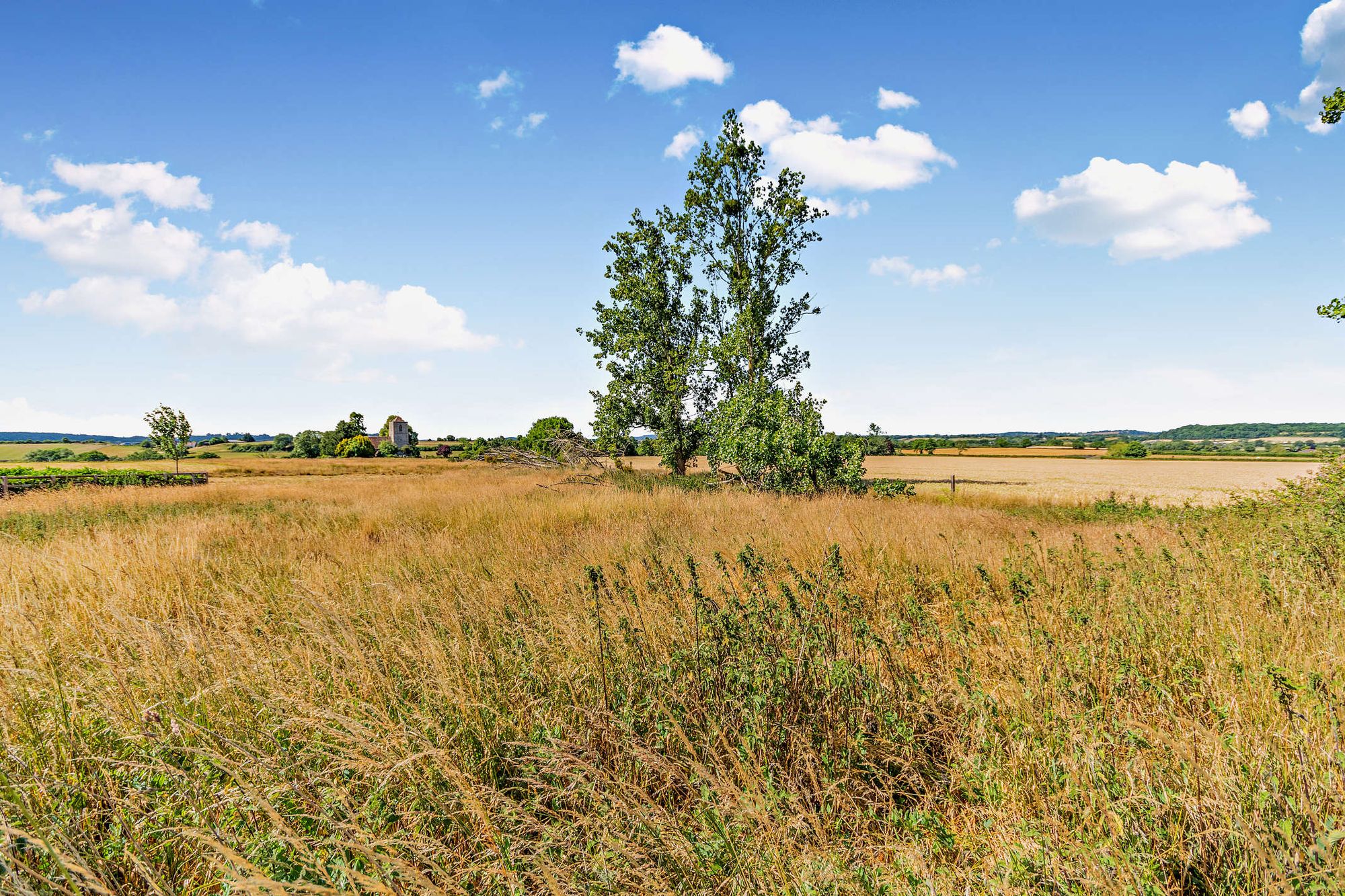3 bed detached bungalow for sale in Long Green, Forthampton, GL19 1
